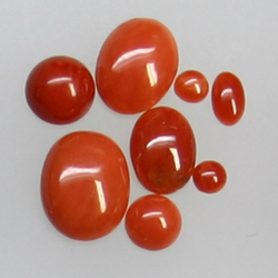 Red Mediterranean Coral Rounds, Oval, Freeform